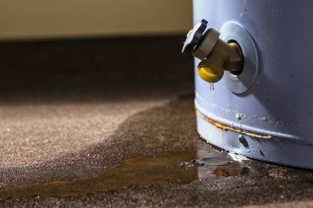 Best Professional water damage repair  in Kearney Park, MS