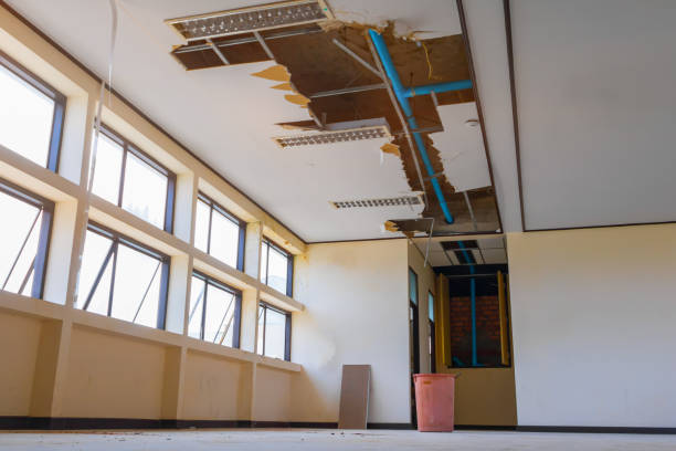 Best Water damage restoration insurance claims  in Kearney Park, MS