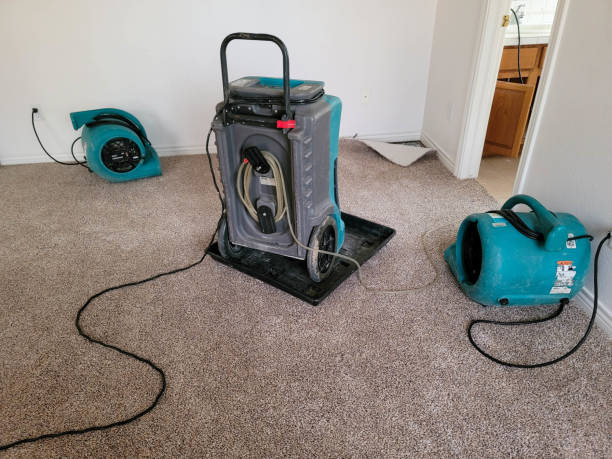 Best 24/7 water damage repair  in Kearney Park, MS