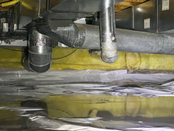 Best Local water damage restoration  in Kearney Park, MS