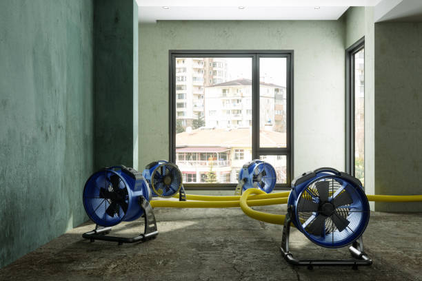 Best Ceiling water damage repair  in Kearney Park, MS